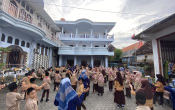 IMG_2409 (1) IMG_2409 (1)